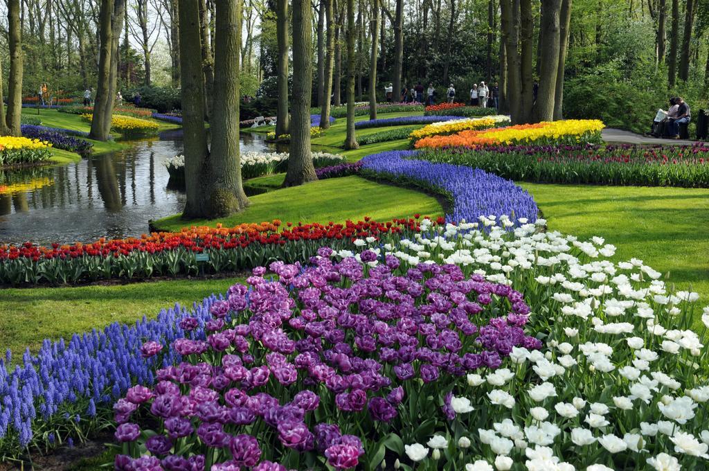 Vakantiepark Koningshof Rijnsburg Luaran gambar